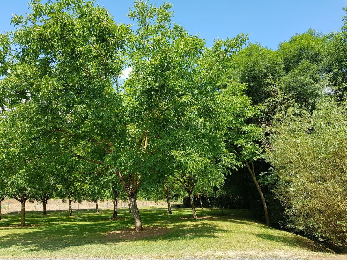 Bed and Breakfast Moulin Du Soustre Cavagnac Exterior foto